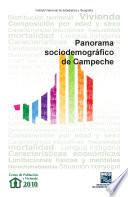 libro Panorama Sociodemográfico De Campeche