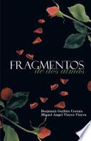 libro Fragmentos De Dos Almas