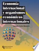 libro Economía Internacional Y Organismos Económicos Internacionales