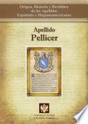 libro Apellido Pellicer