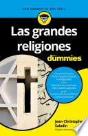 libro Las Grandes Religiones Para Dummies
