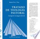 libro Tratado De Teología Pastoral