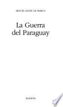libro La Guerra Del Paraguay